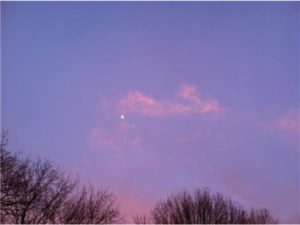 Hibernating This Winter Break the Cycle Sky