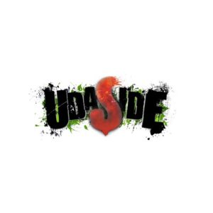 Udaside