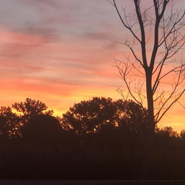 ngr season 28 episode 6 please visit our newest sponsor pacifiercitycards com thumbnail