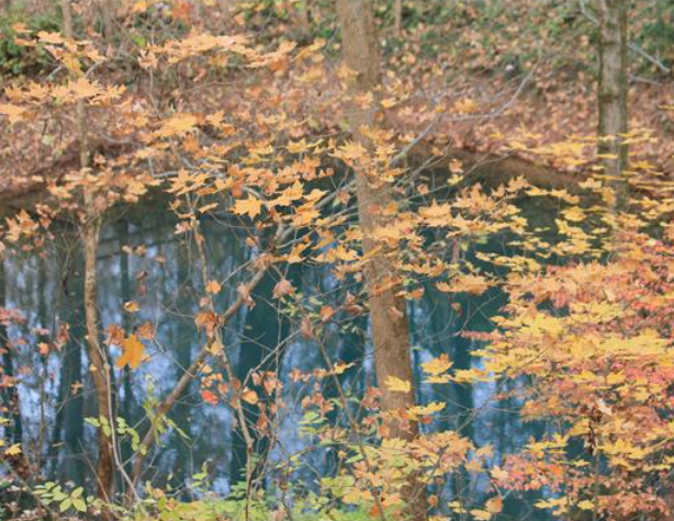 Lost River Cave Autumn Blue Hole