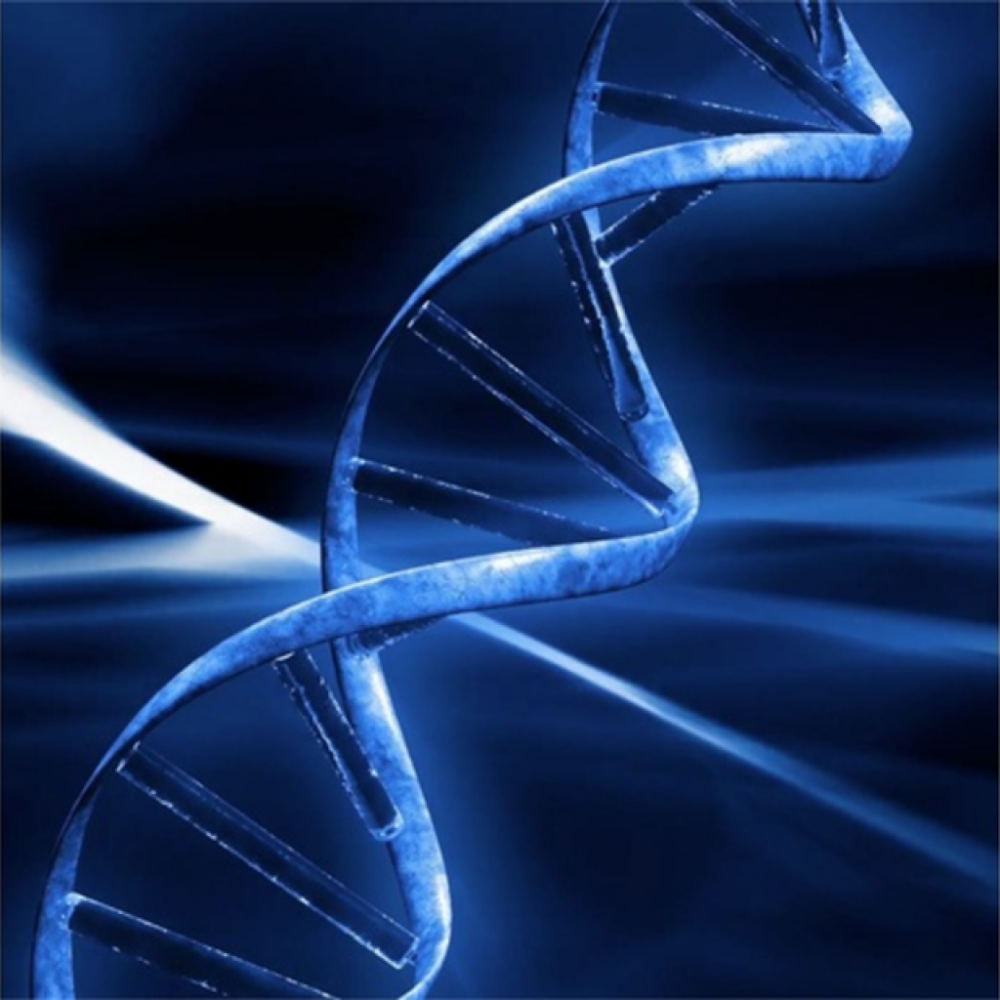 Xadrian Ferrara Anesthetic 1